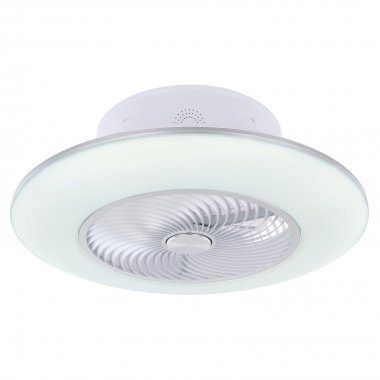 Stropní svítidlo, ventilátor GL 03623-5