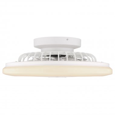 Stropní svítidlo, ventilátor GL 03628-5