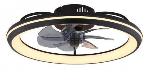 Stropní svítidlo, ventilátor GL 03643-2