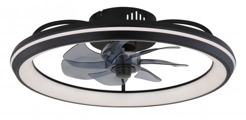 Stropní svítidlo, ventilátor GL 03643-5
