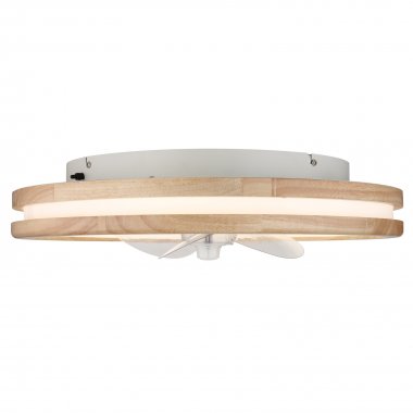 Stropní svítidlo, ventilátor GL 03650-4