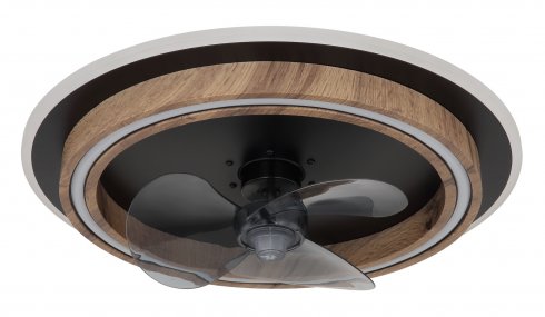 Stropní svítidlo, ventilátor GL 03655-1