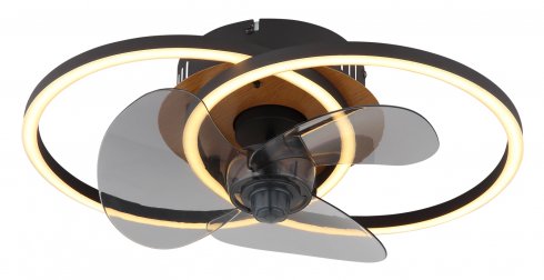 Stropní svítidlo, ventilátor GL 03661-2