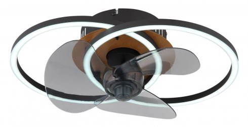 Stropní svítidlo, ventilátor GL 03661-3