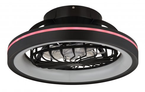 Stropní svítidlo, ventilátor GL 03665-5