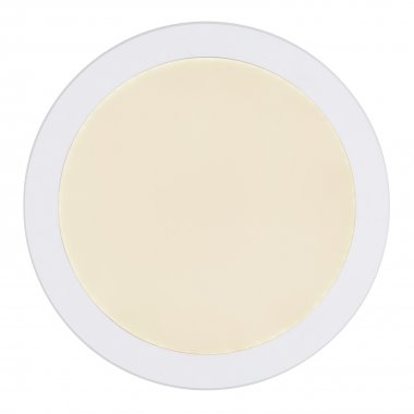Stropní svítidlo GL 12379-24W-2
