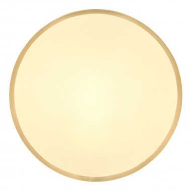 Stropní svítidlo GL 12381-22-2