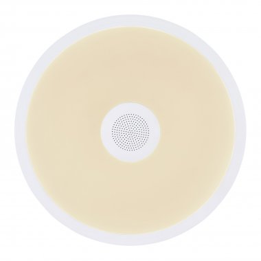Stropní svítidlo GL 41366W-2