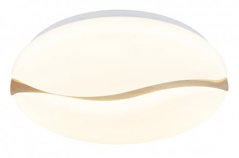 Stropní svítidlo GL 41790-20