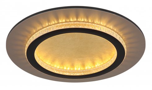 Stropní svítidlo GL 48042-24G-5