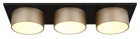 Stropní svítidlo GL 56964-3-2