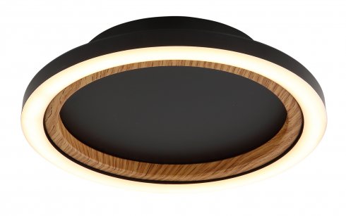 Stropní svítidlo GL 67356D