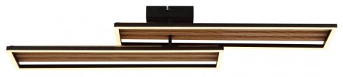 Stropní svítidlo GL 67358D-2