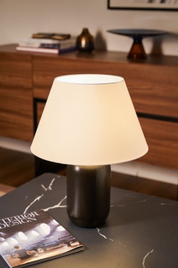 Pokojová stolní lampa P 48352-3