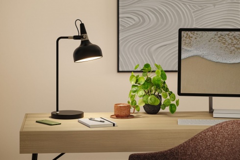 Pracovní lampička P 78479-4