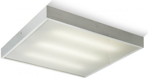 Stropní svítidlo R10256