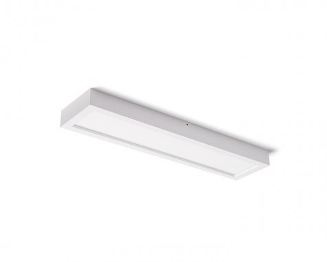 Stropní svítidlo  LED R12064