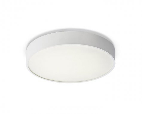 Stropní svítidlo  LED R12115