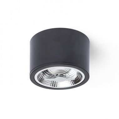 Stropní svítidlo  LED R12634