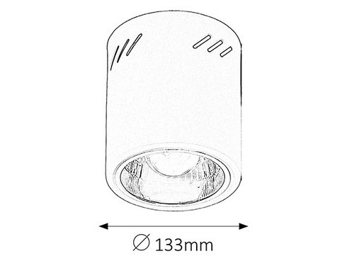 Stropní svítidlo RA 2485 -1