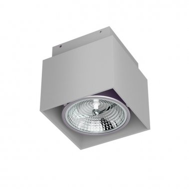 Stropní svítidlo R10155-5