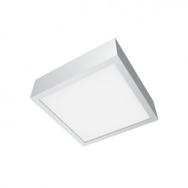 Stropní svítidlo R10159-1