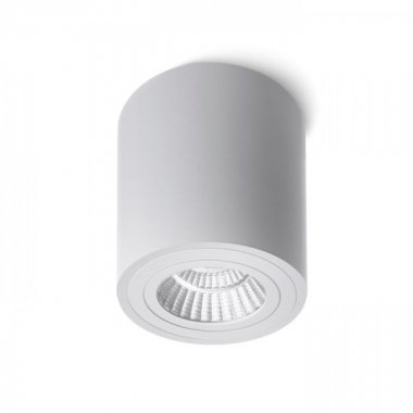 Stropní svítidlo  LED R10375-2