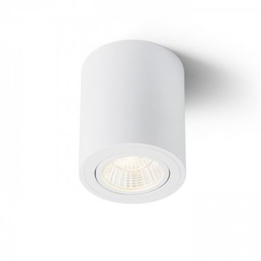 Stropní svítidlo  LED R10375