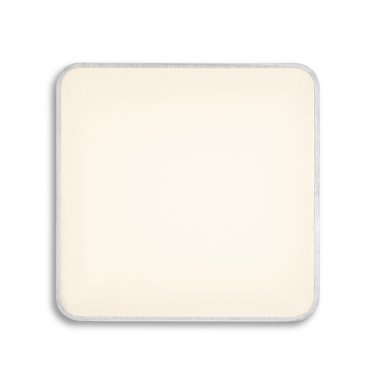 Stropní svítidlo  LED R11290-1