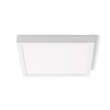 Stropní svítidlo  LED R12063-2