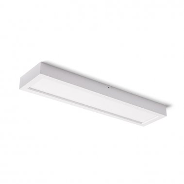 Stropní svítidlo  LED R12064-2