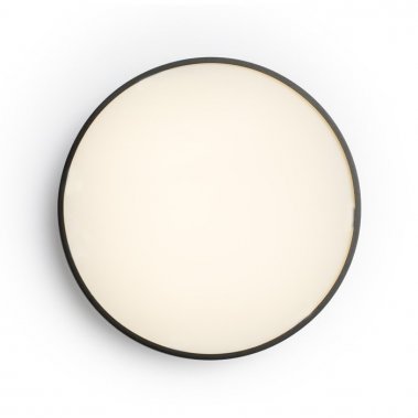 Stropní svítidlo  LED R12116-1