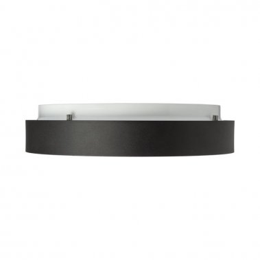 Stropní svítidlo  LED R12116-2