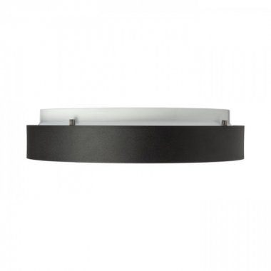 Stropní svítidlo  LED R12116-5
