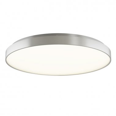 Stropní svítidlo  LED R12119-2