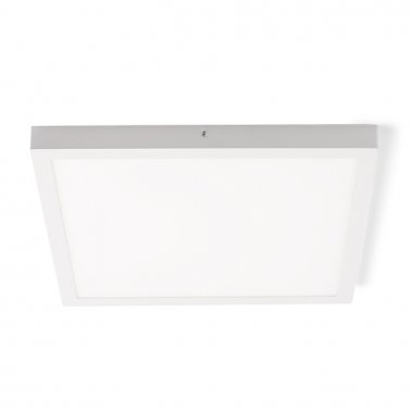 Stropní svítidlo  LED R12204-2