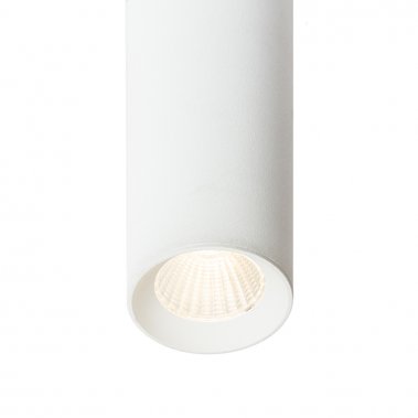 Stropní svítidlo  LED R12450-1