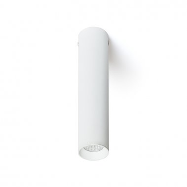 Stropní svítidlo  LED R12450-2