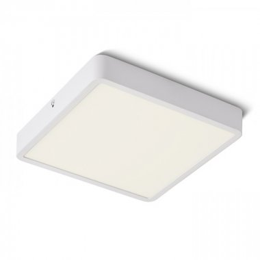 Stropní svítidlo  LED R12815-5