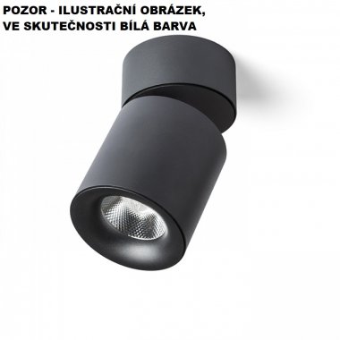 Stropní svítidlo  LED R12839-1