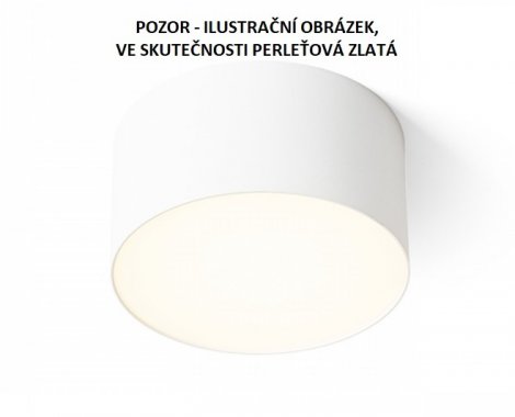 Stropní svítidlo  LED R12843-1