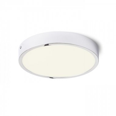 Stropní svítidlo  LED R13405-1