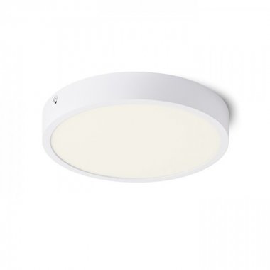 Stropní svítidlo  LED R13405-3