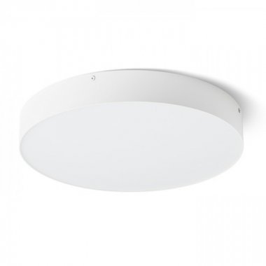 Stropní svítidlo  LED R13484