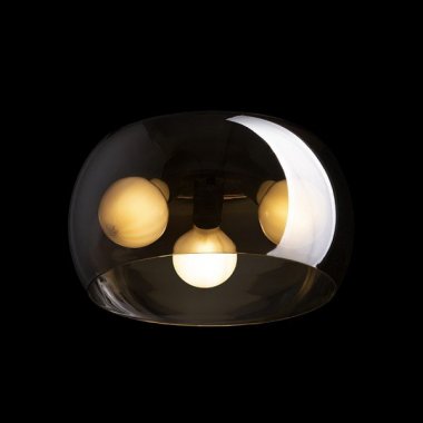 Stropní svítidlo R14133-1
