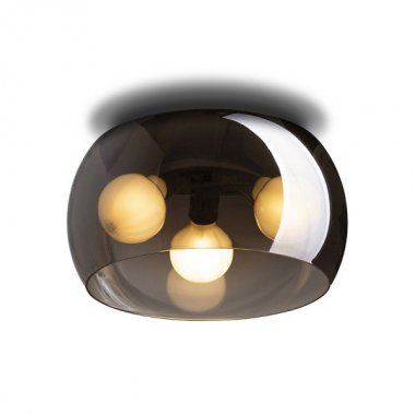 Stropní svítidlo R14133