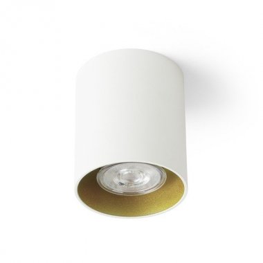 Stropní svítidlo R14212-1