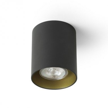 Stropní svítidlo R14213-1