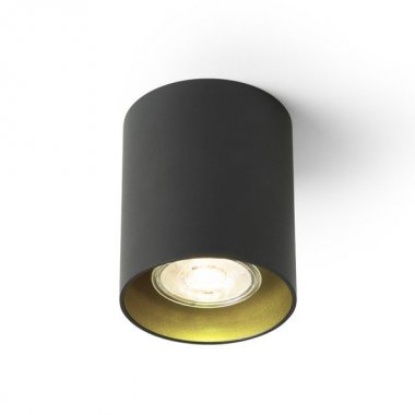 Stropní svítidlo R14213