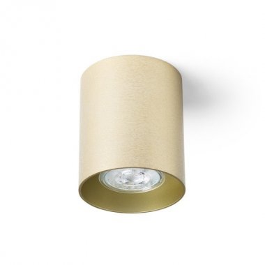Stropní svítidlo R14214-2